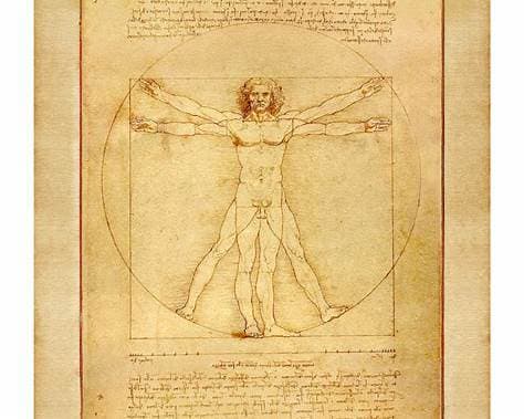 I Read About Da Vinci’s Vitruvian Man , Here’s What I Found Interesting